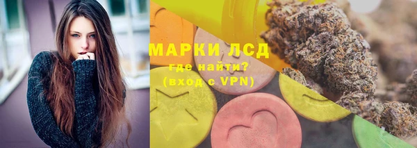 гашик Осинники