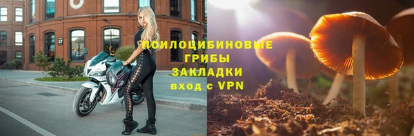 винт Осташков