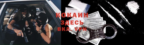 гашик Осинники