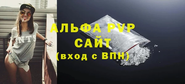 гашик Осинники