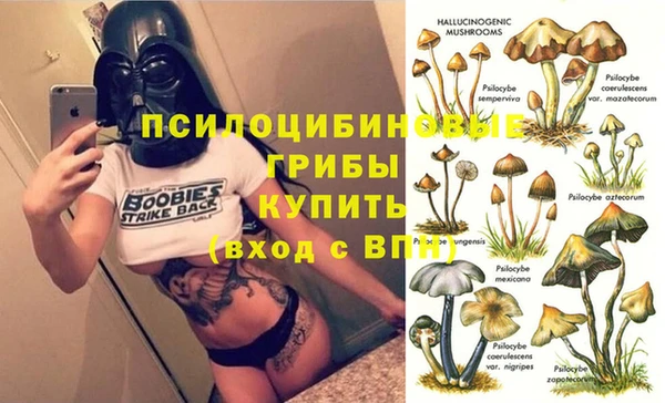 гашик Осинники