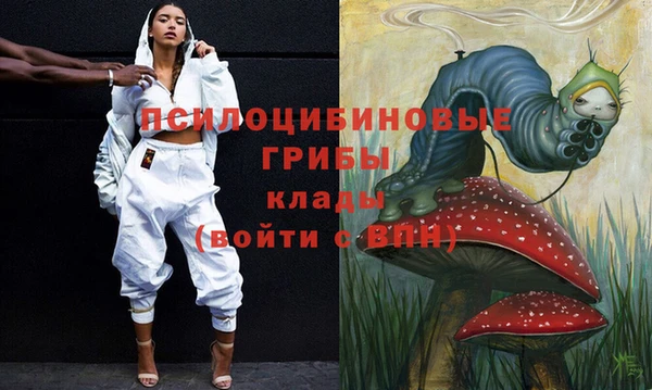 винт Осташков