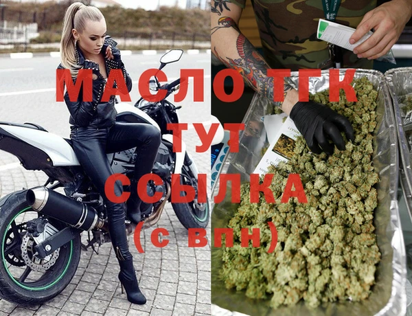 гашик Осинники