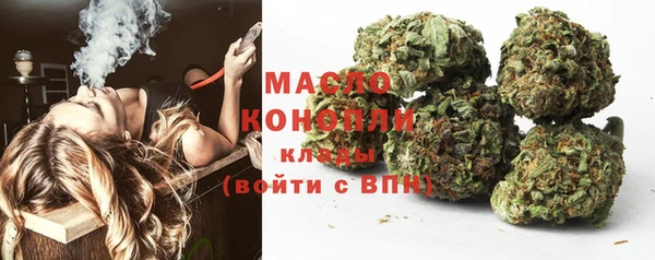 гашик Осинники