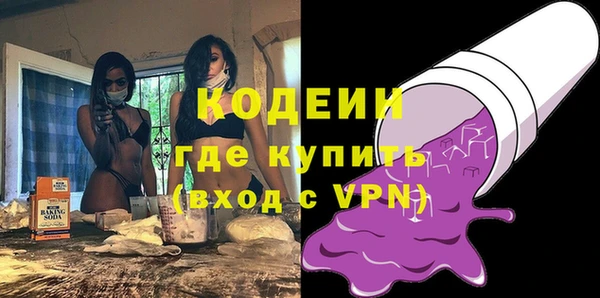 гашик Осинники