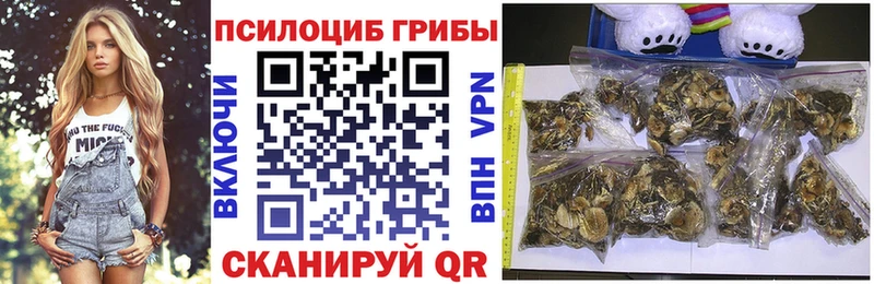 где продают наркотики  Богучар  Псилоцибиновые грибы Magic Shrooms 