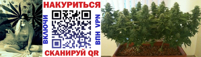 Марихуана White Widow Богучар